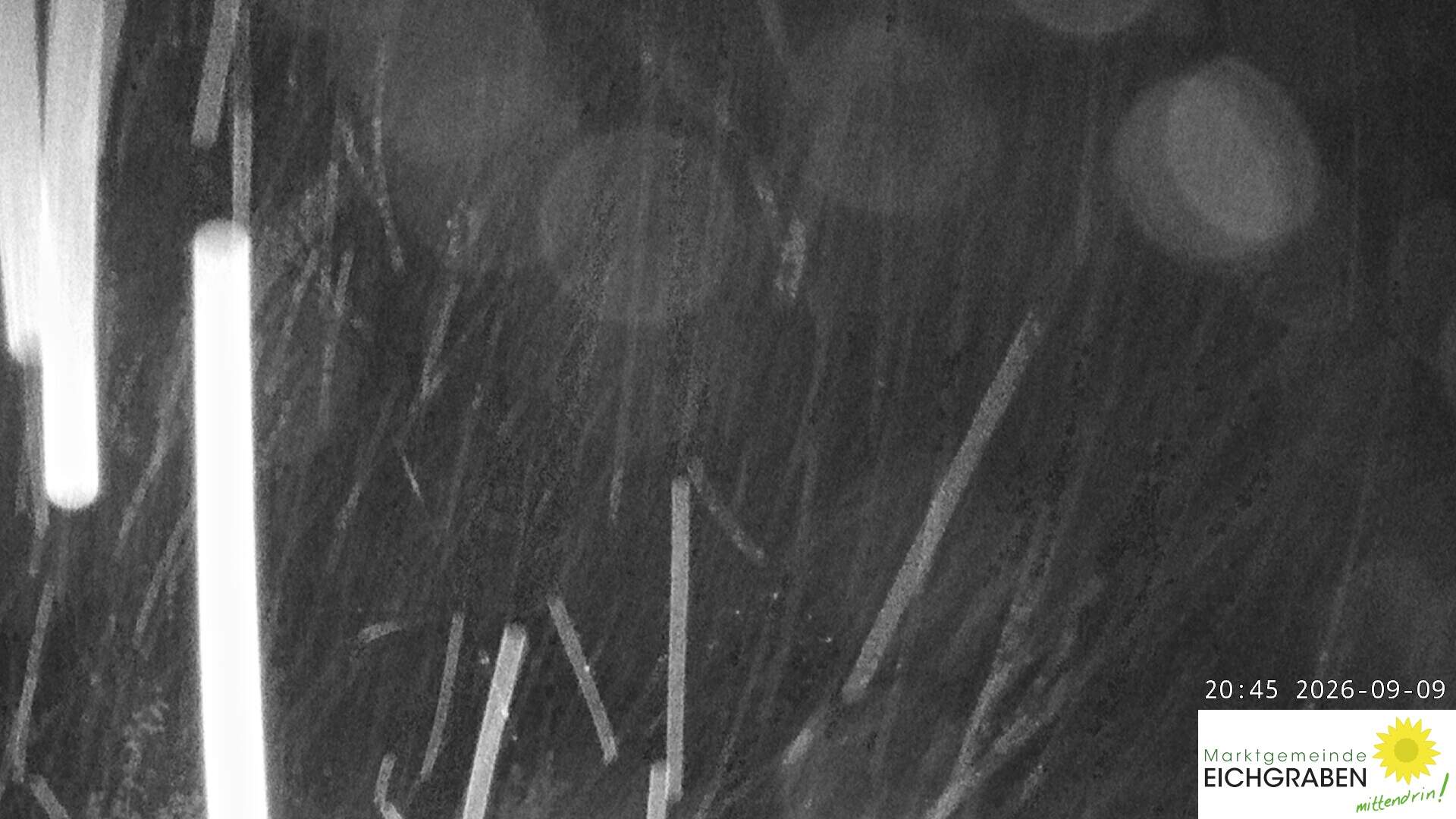 Eichgraben Webcam